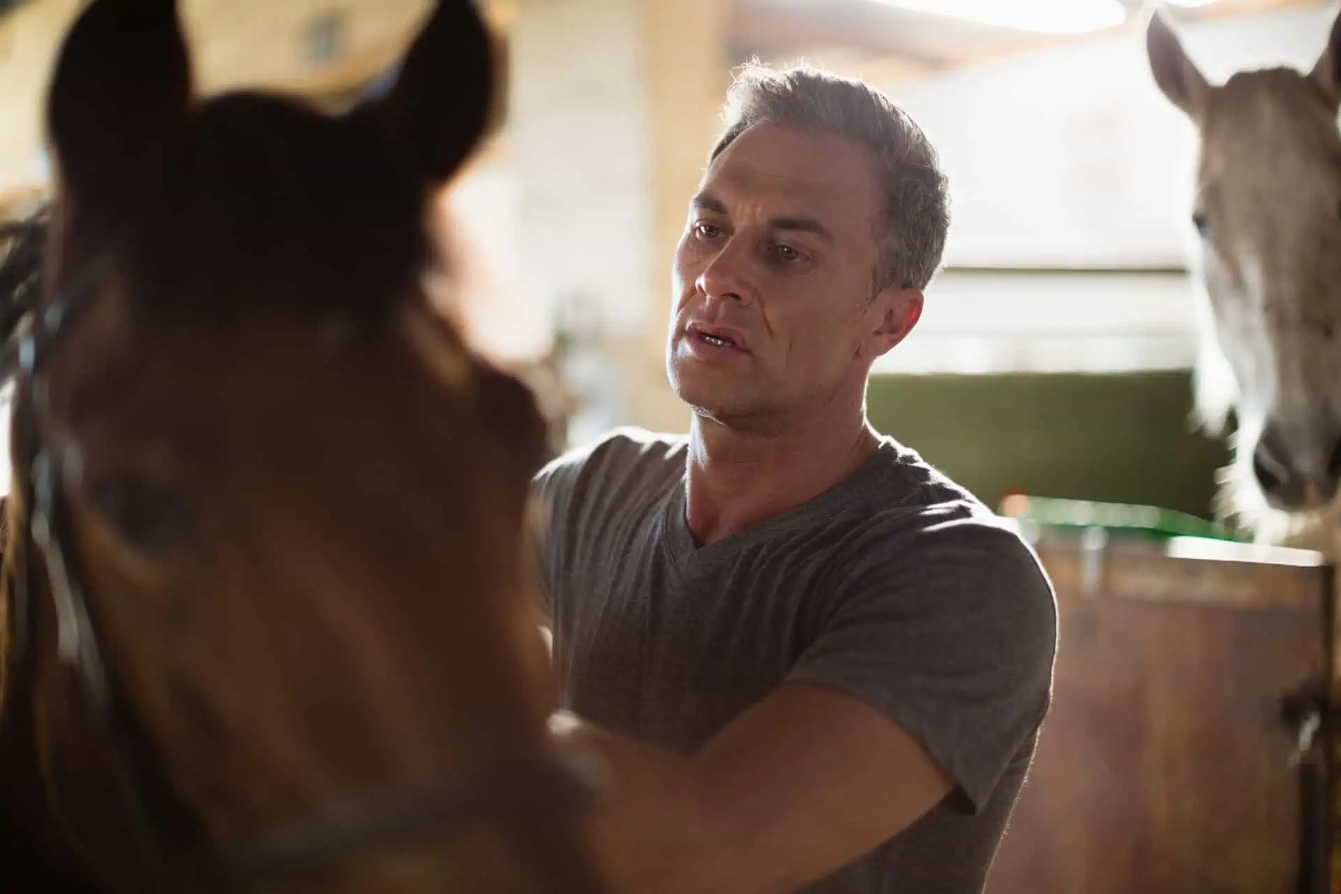 veteran with horse