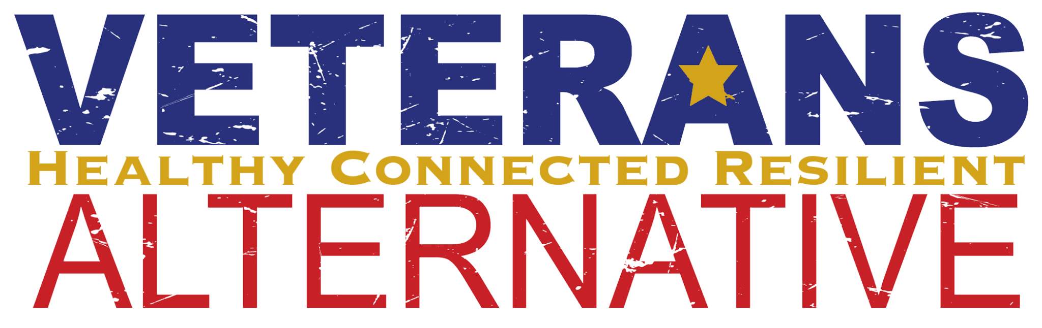 Capacity Building Grants Disabled Veterans National Foundation